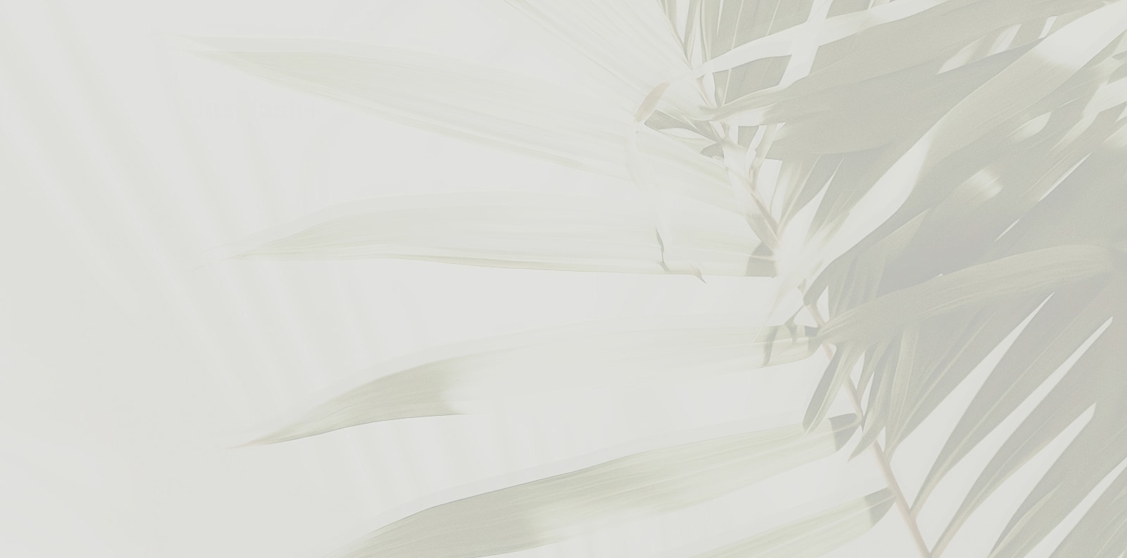 Soft green palm leaves against a light background.