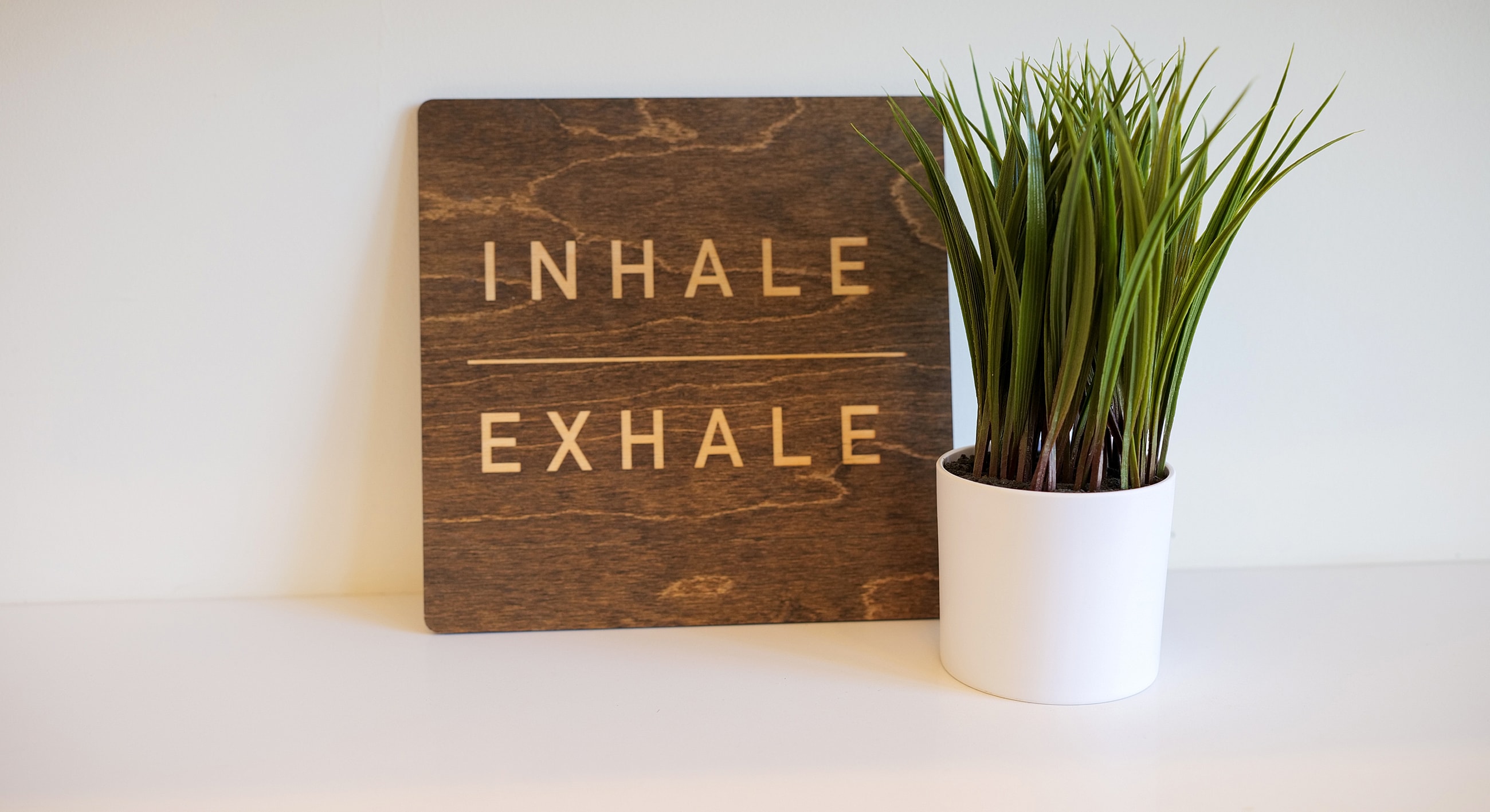Wooden sign reading inhale exhale with plant.