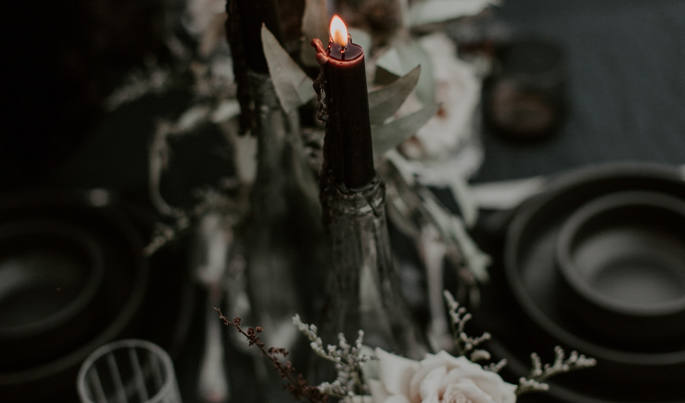 Shed The Dead