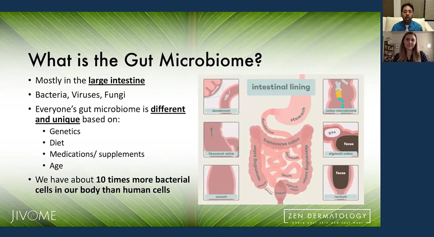 Gut microbiome information and anatomical overview.